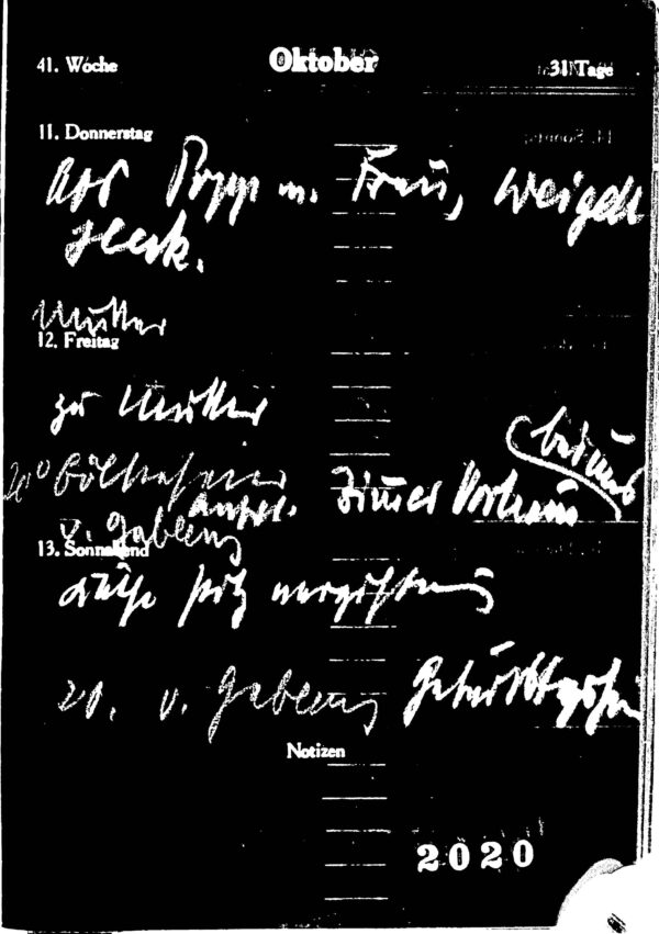 Milch Diaries 1925-1935 (Irving Fiile 56) - Negative Reel - Image 2