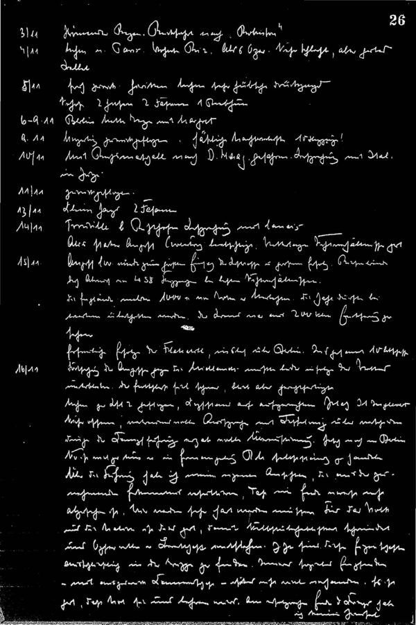 Waldau Diary and Reports, 1939 - 1943 (Irving File 75B) - Negative Reel - Image 2