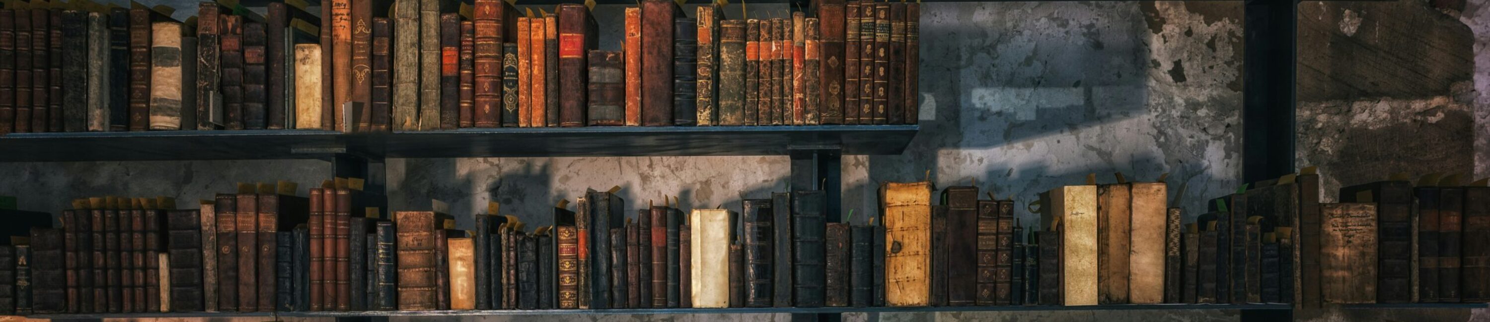 Vintage library book shelves